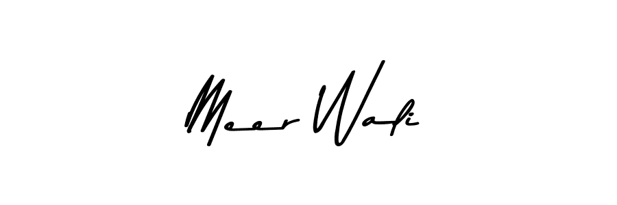 Similarly Asem Kandis PERSONAL USE is the best handwritten signature design. Signature creator online .You can use it as an online autograph creator for name Meer Wali. Meer Wali signature style 9 images and pictures png